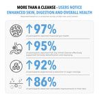 Day Shred Cleanse & Detox